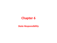 state responsibility 6 (1).pptx